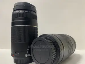 Canon 75-300mm Lens | SearchEthio